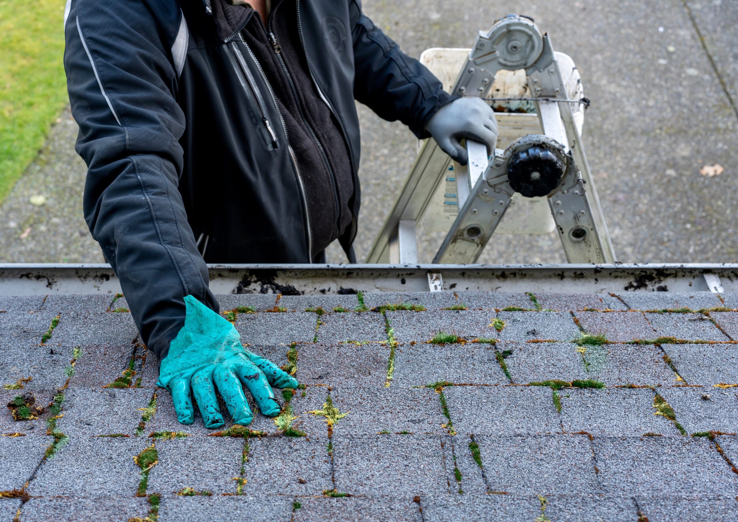 How to prevent mildew